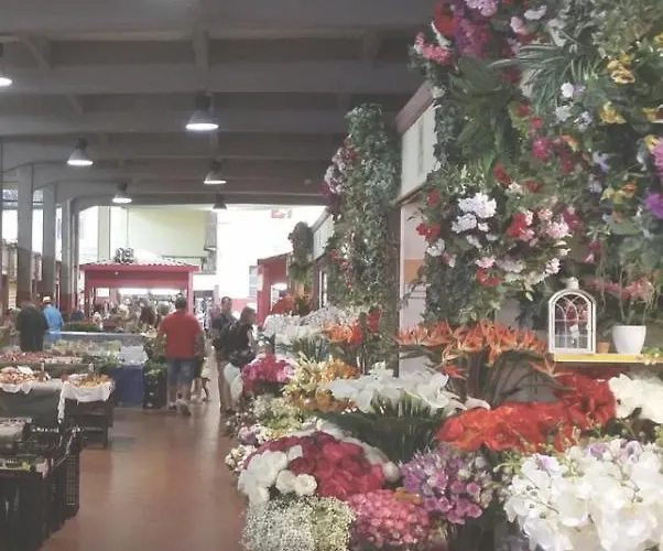Flower Market *